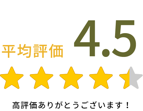 レビュー