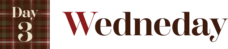 DAY3 WEDNESDAY